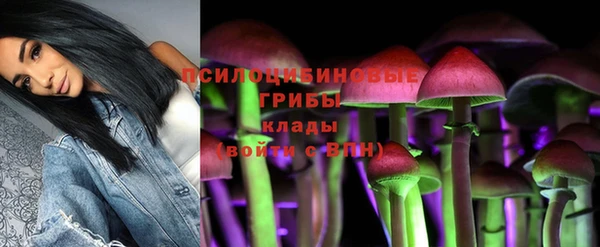 мескалин Алексин