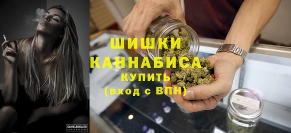 спайс Мегион