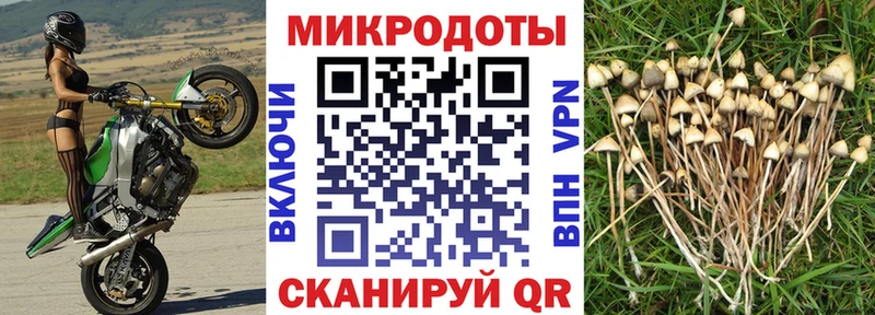 закладка  mega ссылки  Псилоцибиновые грибы Cubensis  Тобольск 