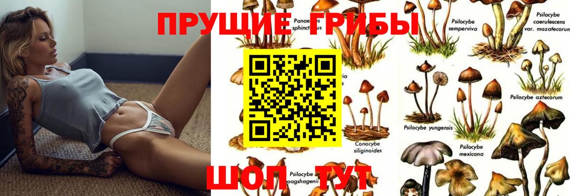 Галлюциногенные грибы Psilocybine cubensis  Вход с VPN  Псилоцибиновые грибы MAGIC MUSHROOMS  Тобольск 